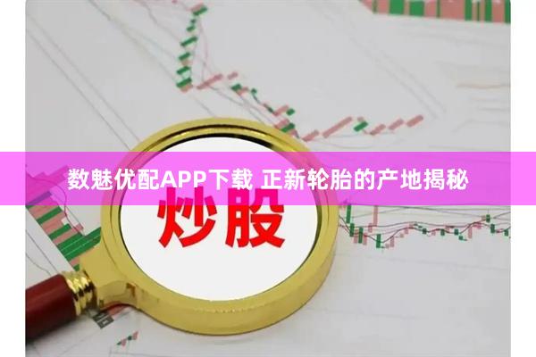 数魅优配APP下载 正新轮胎的产地揭秘