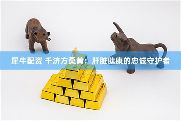 犀牛配资 千济方桑黄：肝脏健康的忠诚守护者